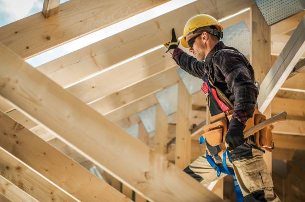 Best Roof Gutter Cleaning  in Forest Hills, MI