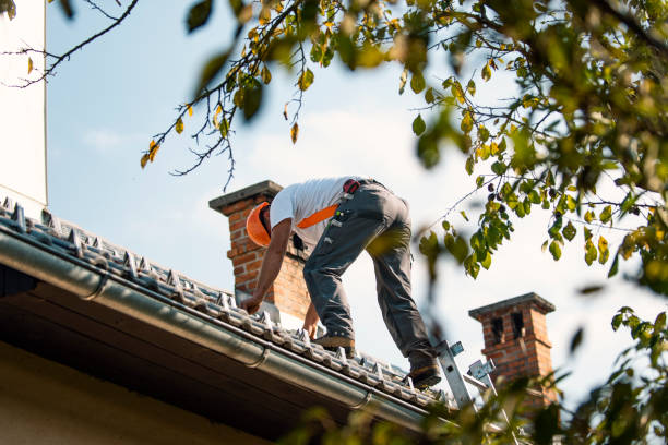 Best Roof Restoration Services  in Forest Hills, MI