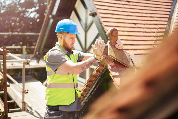 Best Roof Gutter Cleaning  in Forest Hills, MI